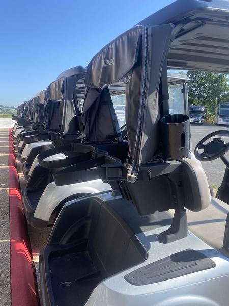 2019 E-Z-GO RXV® Electric Photo in Staunton, VA 24401